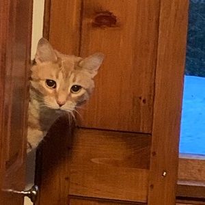 Meet your Posher, Nancy